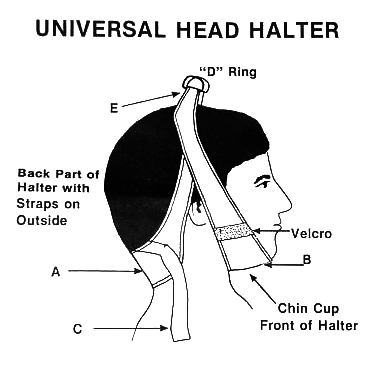 T-ODH Over-Door Head Halter